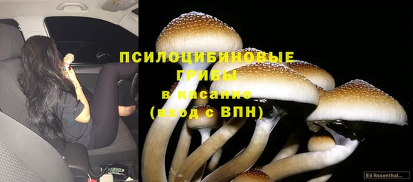 мет Переславль-Залесский