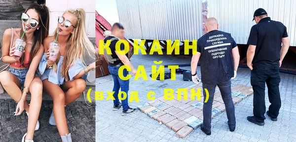 гашик Арсеньев