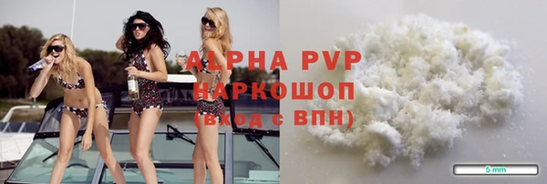 гашик Арсеньев