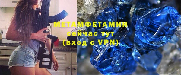 прущие грибы Пестово