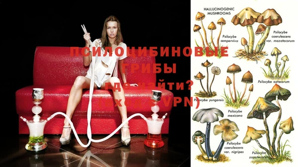 прущая мука Армянск