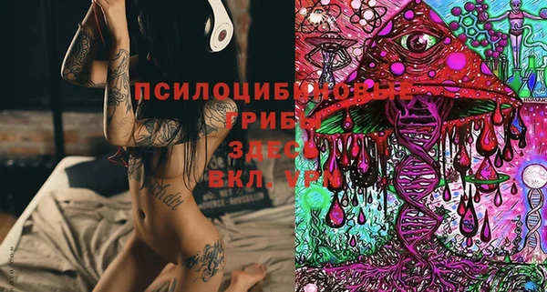 прущая мука Армянск