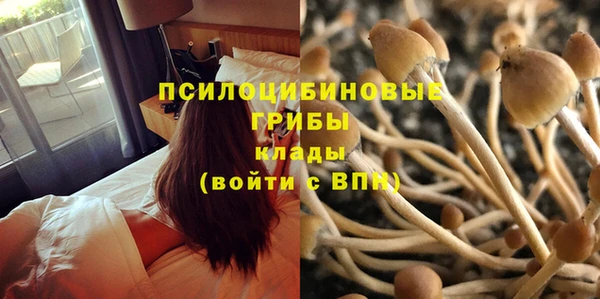 гашишное масло Аркадак
