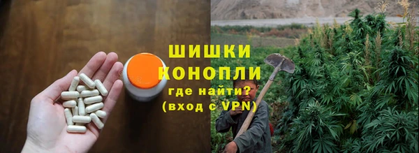 гашик Арсеньев